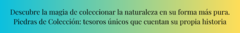 Banner de la categoría COLECCIÓN DE LA NATURALEZA
