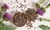 INFUSIÓN CARDOMARIANO 50GR. - comprar online