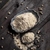 PIMIENTA BLANCA MOLIDA 25GR. - comprar online