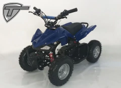 Quadriciclo Mini 49es - azul