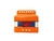 MINI ACORDEÓN MUSICAL CHICO NARANJA - comprar en línea
