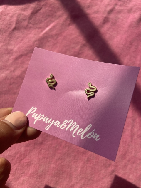 Aretes broquel serpiente