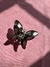 Pinza mariposa plateada