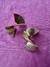 Aretes abanico