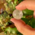 ESFERA CRISTAL DE QUARTZO