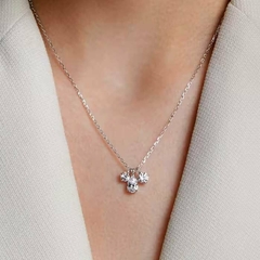 Collar Attract Cluster en internet