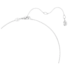 Collar Dextera - comprar online