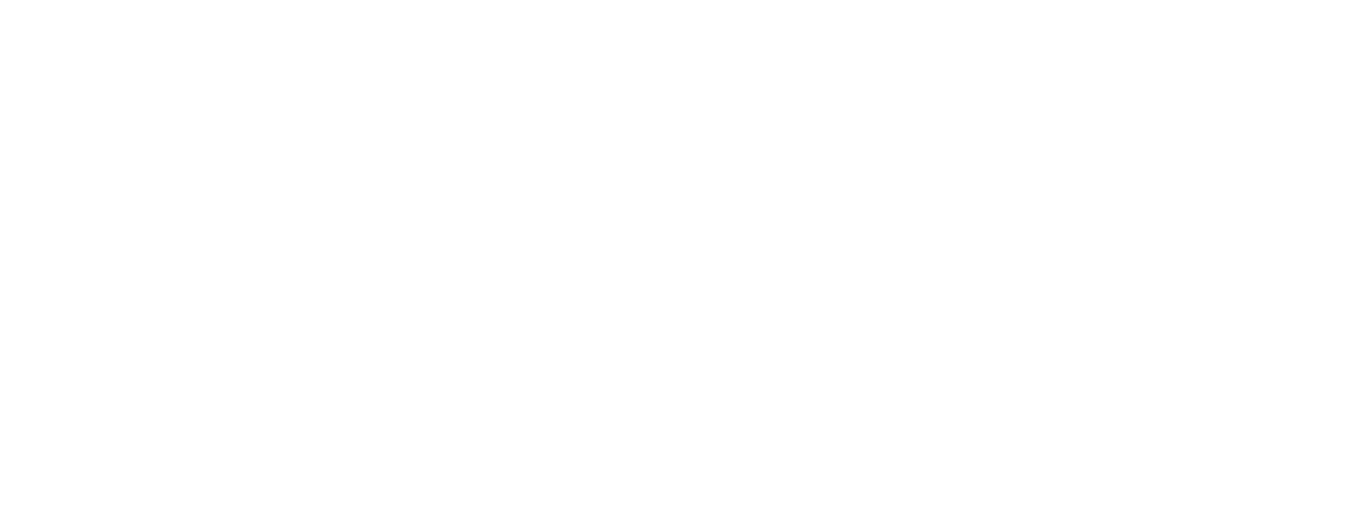 IRIAN STORE
