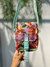 BOLSA FARM FERVO CÉU DE FLOR