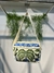 BOLSA FARM ZIRIGUIDUM TROPICANCE