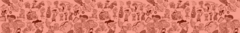 Banner de la categoría Ed Edd y Eddy