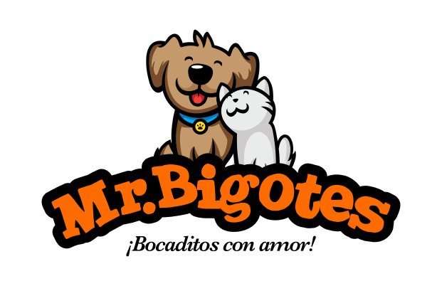 Mr. Bigotes