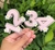 TOPPER CUPCAKE 3D - comprar online