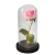 Luminária a rosa encantada - loja online