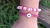 Combo pulsera de fimo + pulsera ojo turco en internet