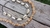 Combo chocker y collar de caracoles