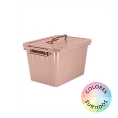 CAJA ORGANIZADORA MEDIANA COLOR 12 Lts - comprar online