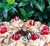 Imagen de Rosca de Pascuas