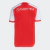 Manto Internacional I 24/25 - Masculina Torcedor - comprar online