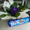 Arranjo com 1 violeta e 1 caixa de Bis