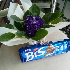 Arranjo com 1 violeta e 1 caixa de Bis