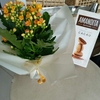 Arranjo com flor da fortuna e 1 caixa de chocolate Amandita