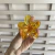 Piranha M transparencia Flor