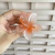 Piranha M transparencia Flor