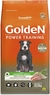Golden Power Training