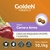 Golden Formula Filhotes - L&M Pet's Star