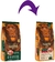 Special Dog Gold - comprar online