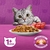 Ração Whiskas Carne para Gatos Adultos