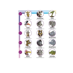 GOMA INTRAORAL JABALI 3/8 MEDIM 4.5 OZ ORTHORGANIZERS en internet