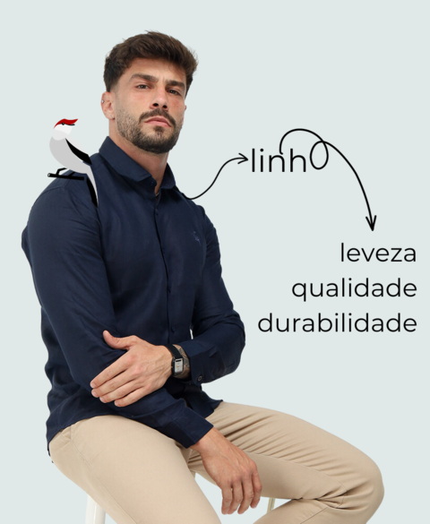 Carrossel 1
