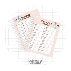 CADERNETA DE SAÚDE MENINO BEBÊ MENINO PERSONALIZADA - Papel e EVA 