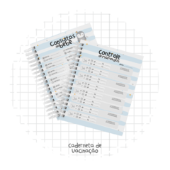 CADERNETA DE SAÚDE MENINO PINGUIN PERSONALIZADA - Papel e EVA 