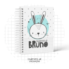 CADERNETA DE SAÚDE MENINO COELHO ESCANDINAVO PERSONALIZADA - comprar online