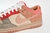 DUNK CLOT X NIKE WHAT THECLOT