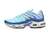 NIKE AIR MAX PLUS