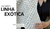 Banner de Para Raio Conceito