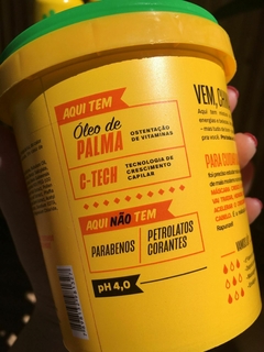 Mascara De Nutrição e Fortalecimento Cresce E Aparece 450g Chikas Cosmeticos - comprar online