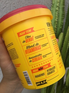 Mascara De Reconstrução Deleta Danos 450g Chikas Cosmeticos na internet