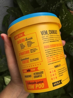 Mascara De Hidratação e Nutrição Acorda Cachos 450g Chikas Comesticos Low Poo na internet