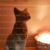 Gato egipcio mediano en internet