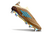 Imagem do Chuteira Adidas F50 Campo Elite SG + 2 Brindes
