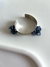 Brazalete FISH en internet