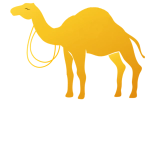 ProAmmazing