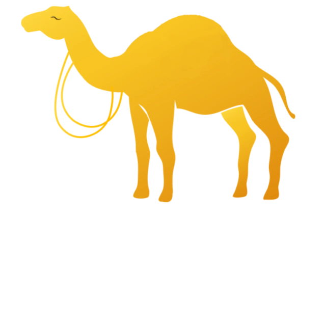 ProAmmazing