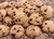GALLETITAS CON CHIP DE CHOCOLATE DONINAS - comprar online