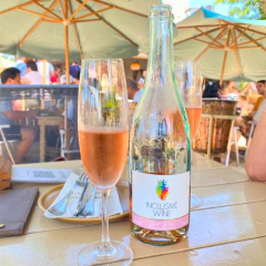 Espumante Brut Rosé - Inclusive Wine - comprar online